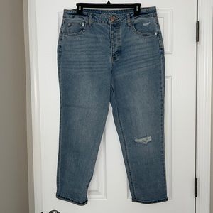 NWOT Wild Fable Girlfriend Jean
